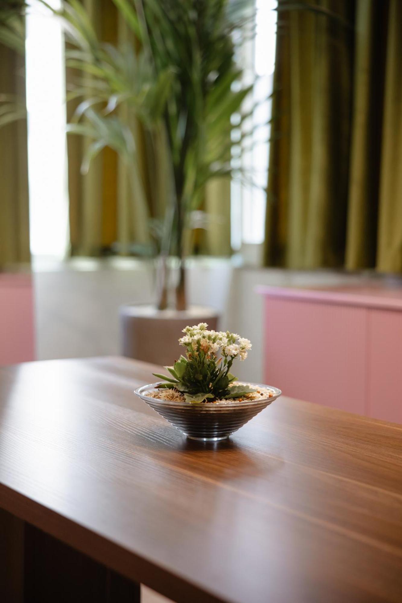 Corner Hostel ชโคเดอร์ ภายนอก รูปภาพ